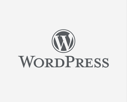 WordPress Themes